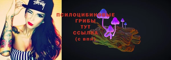 бутират Баксан